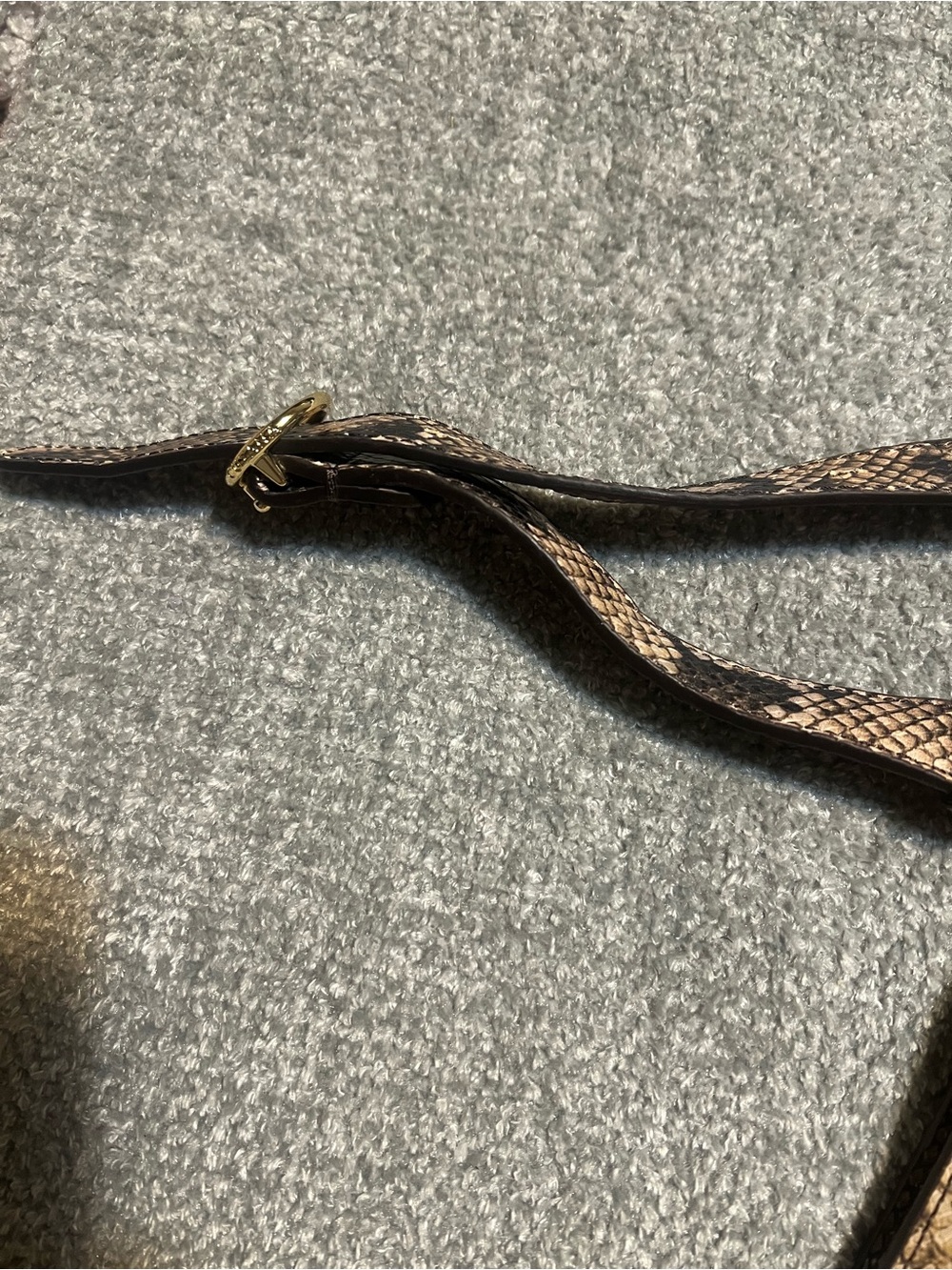 Cuyana Snake Skin Convertible Belt Bag - Picture 7 of 11